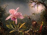 Martin Johnson Heade Cattleya Orchid and Three Brazilian Hummingbirds china oil painting artist